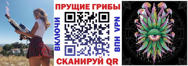 что такое   Петровск  Галлюциногенные грибы GOLDEN TEACHER 