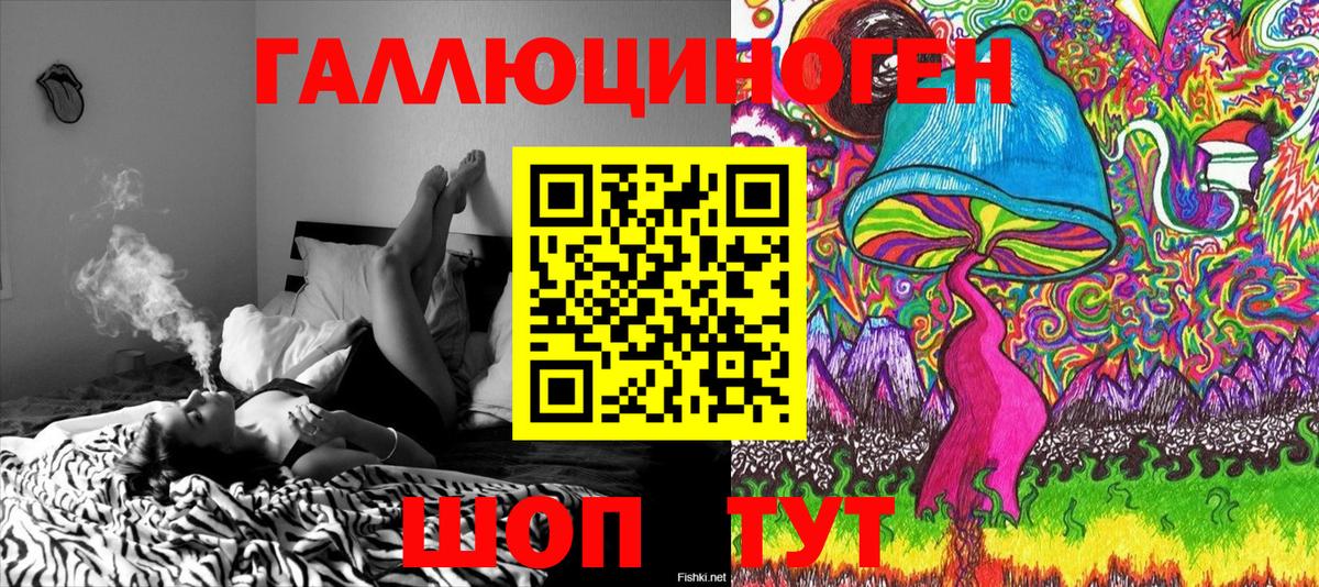 Петровск  Галлюциногенные грибы мухоморы  Вход с VPN  Псилоцибиновые грибы Psilocybine cubensis 