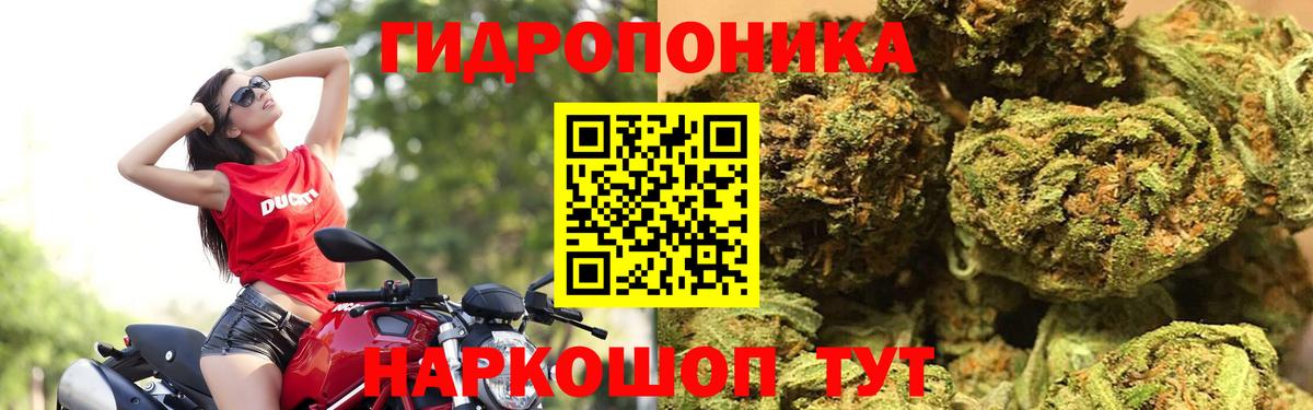 ГАШ  Петровск  Вход с VPN  Метамфетамин  ЭКСТАЗИ  Купить наркотики  Метадон  МЕФ кристаллы  КОКАИН 